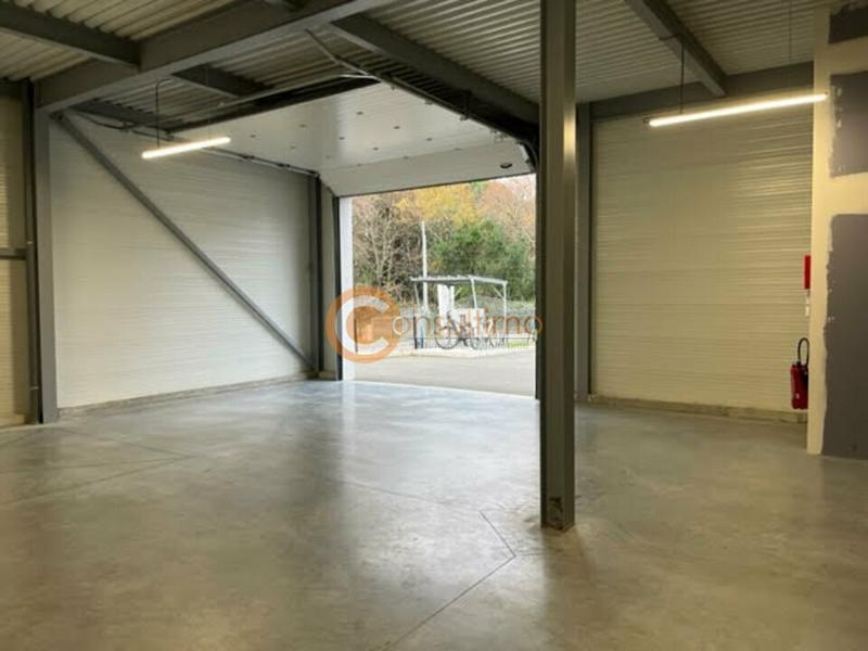 Local d'activité / Entrepôt - 300 m²