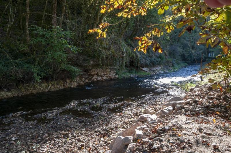 Maison - 591 m² - 28 pièces