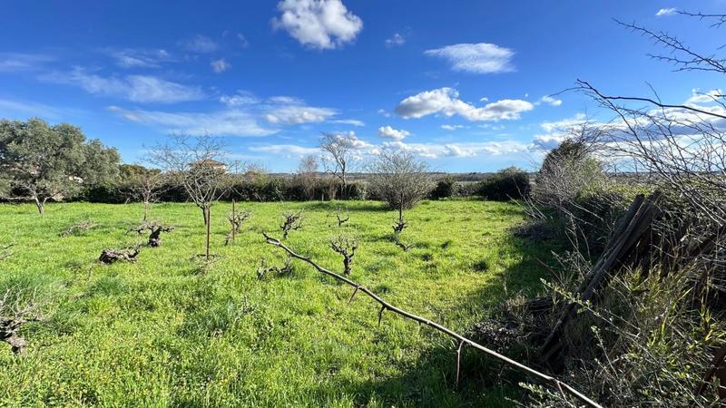 Maison - 204 m² - 5 pièces