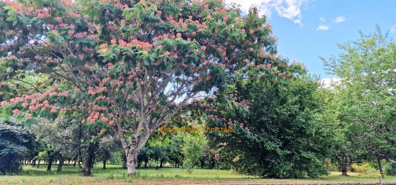 Maison - 70 m² - 4 pièces