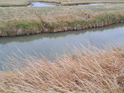 Maison - 40 m² - 3 pièces