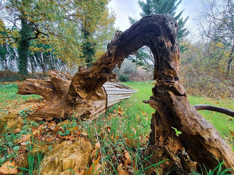 Rendez-vous aux jardins - au jardin d'hélys-oeuvre