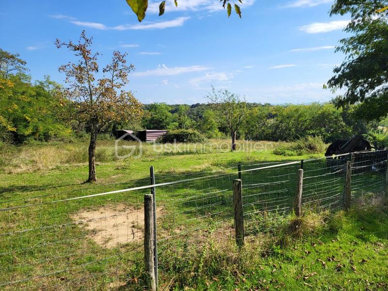 Maison - 450 m² - 19 pièces