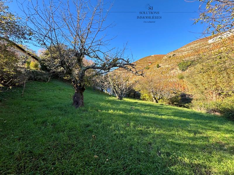 Terrain agricole - 705 m²