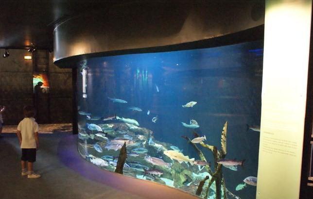 Dimanche intergénérationnel à Maréïs