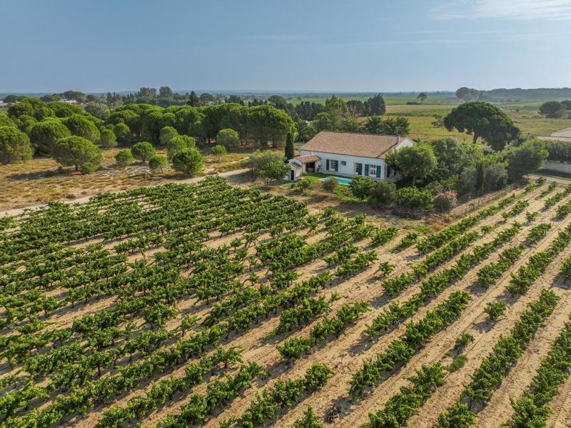 Maison - 214 m² - 5 pièces