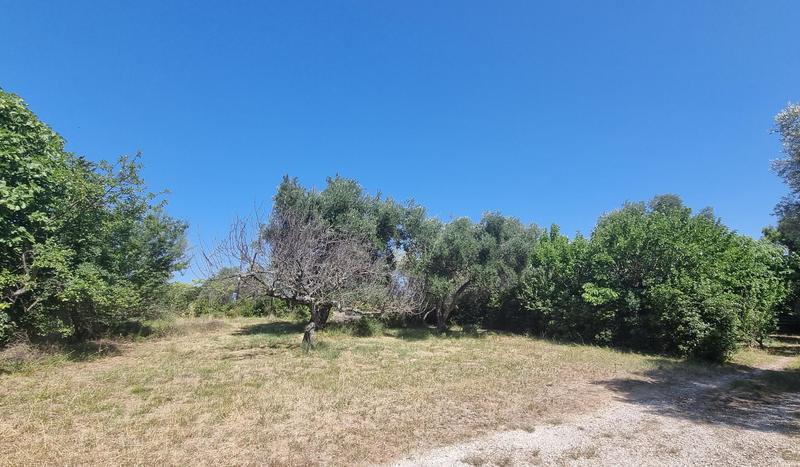 Terrain constructible - 1 000 m²