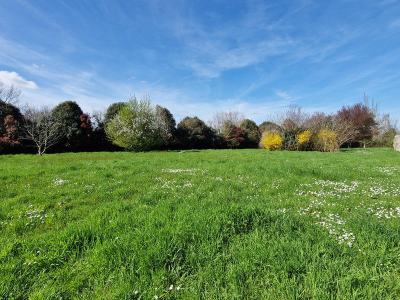 Maison - 290 m² - 8 pièces