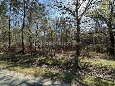 Terrain de loisirs - 31 450 m²