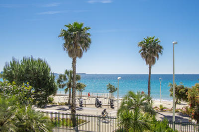 Appartement - 24 m² - 1 pièce