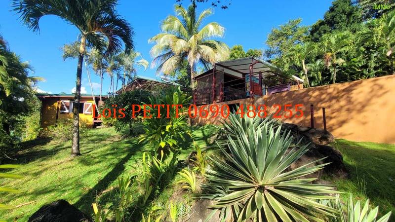 Maison - 367 m² - 11 pièces