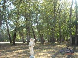 Château - 3 800 m² - 36 pièces