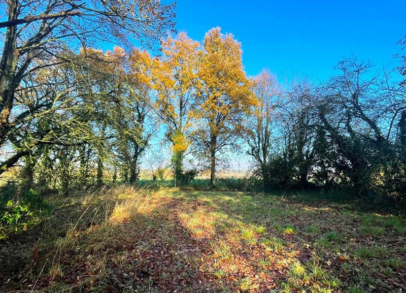 Maison - 119 m² - 6 pièces