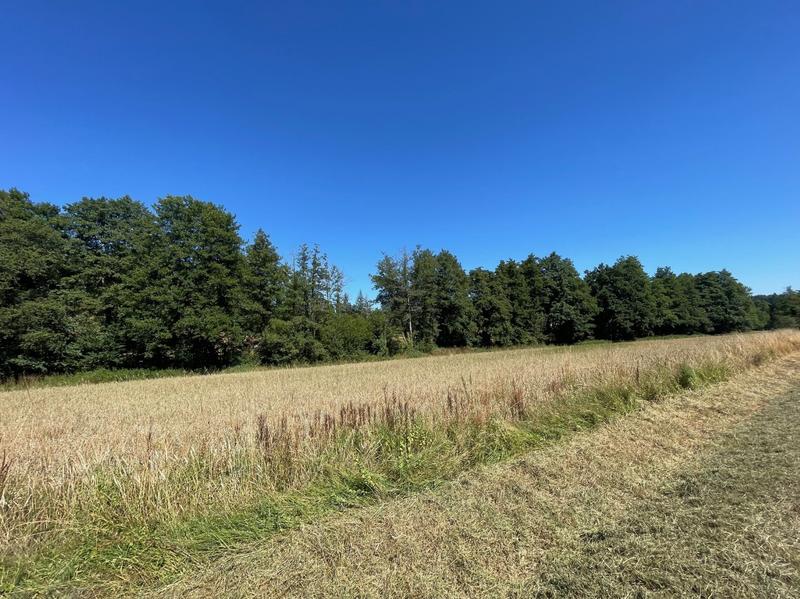 Corps de ferme - 140 m² - 4 pièces