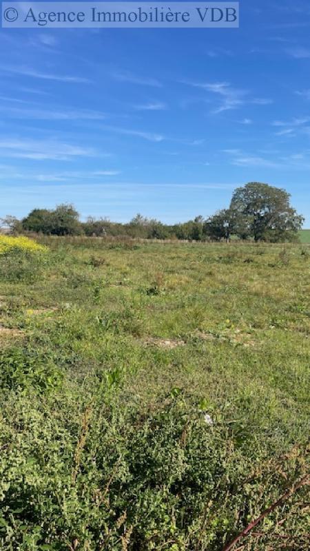 Terrain constructible - 1 667 m²
