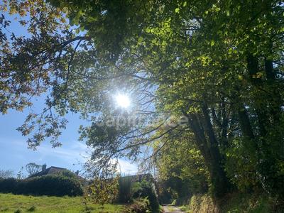 Terrain constructible - 830 m²