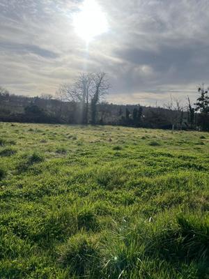 Terrain constructible - 515 m²