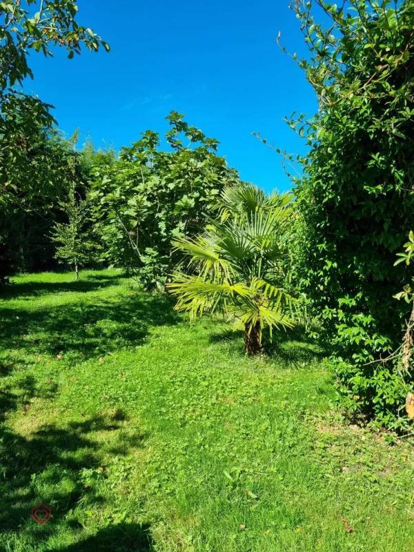 Maison de bois - 180 m² - 5 pièces