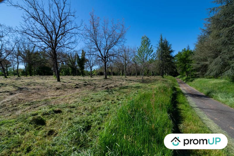 Terrain - 10 000 m²