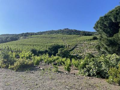 Terrain - 24 000 m²