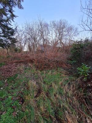 Terrain constructible - 513 m²