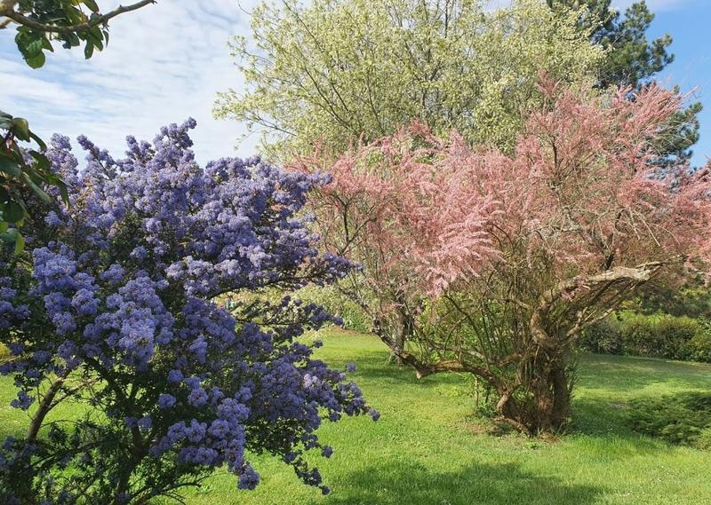 Maison - 159 m² - 7 pièces