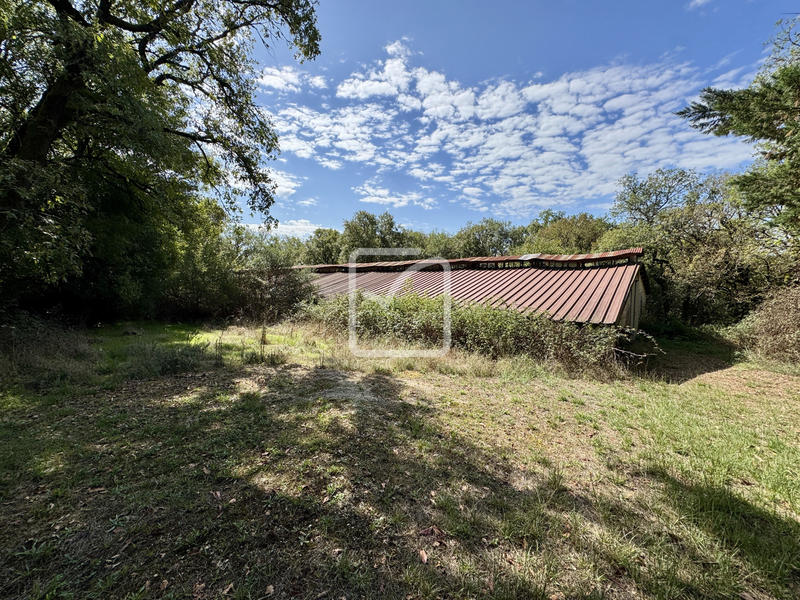 Maison - 230 m² - 12 pièces