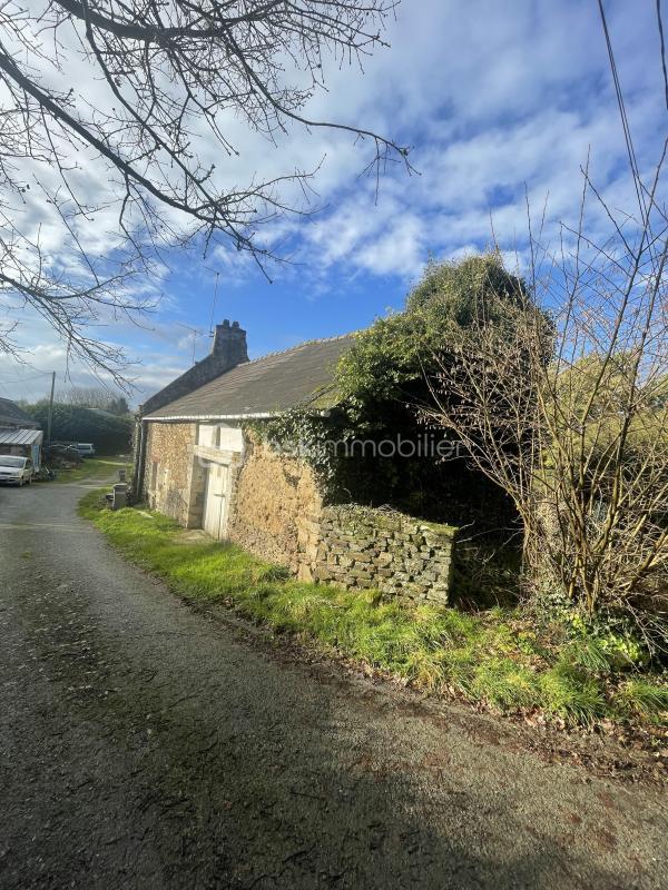 Maison en pierre - 56 m² - 3 pièces