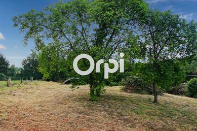 Terrain constructible - 1 313 m²