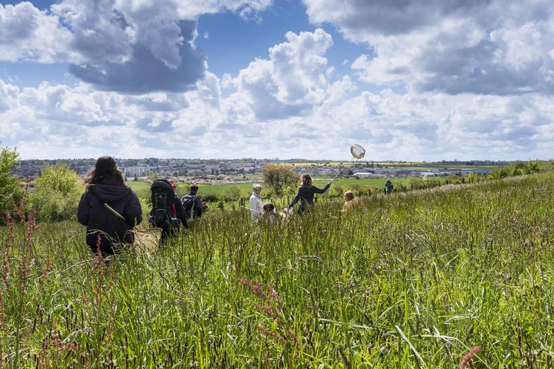 Sciences en famille : les amphibiens