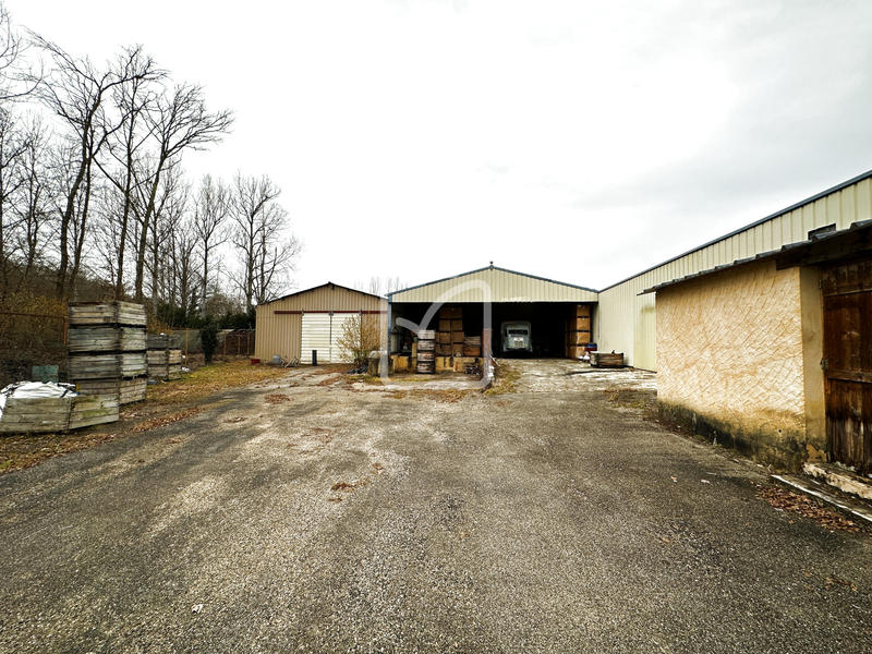 Immeuble - 1 750 m² - 12 pièces