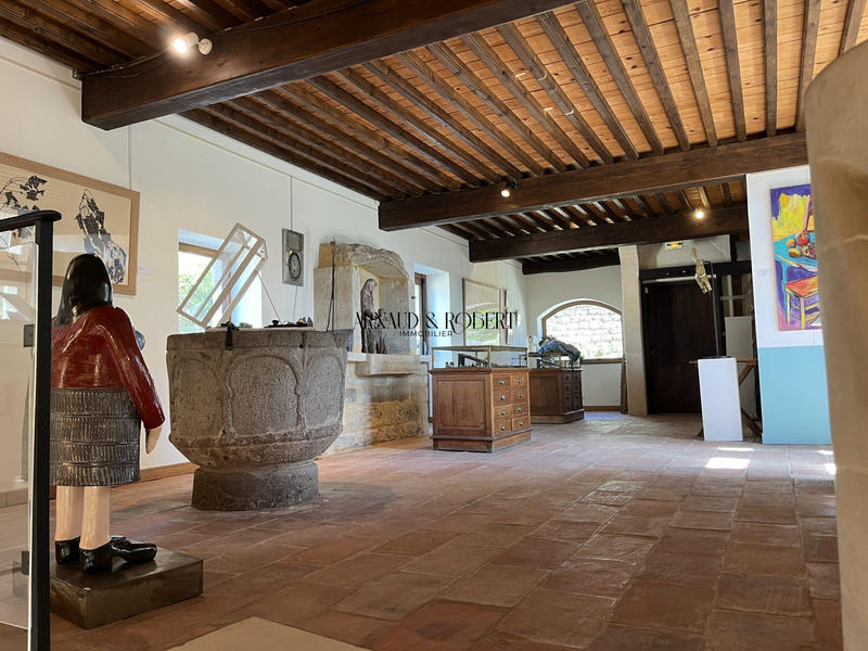 Maison - 450 m² - 10 pièces