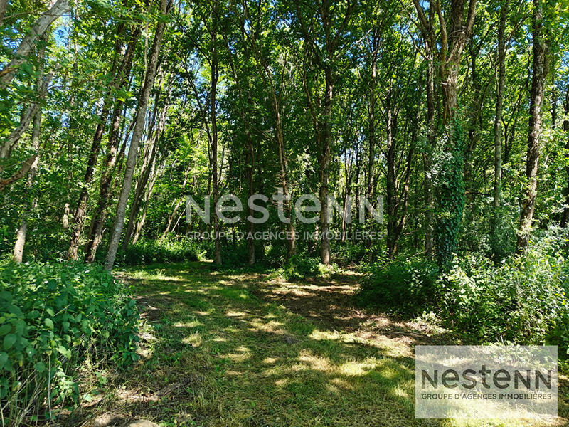 Terrain - 270 000 m²