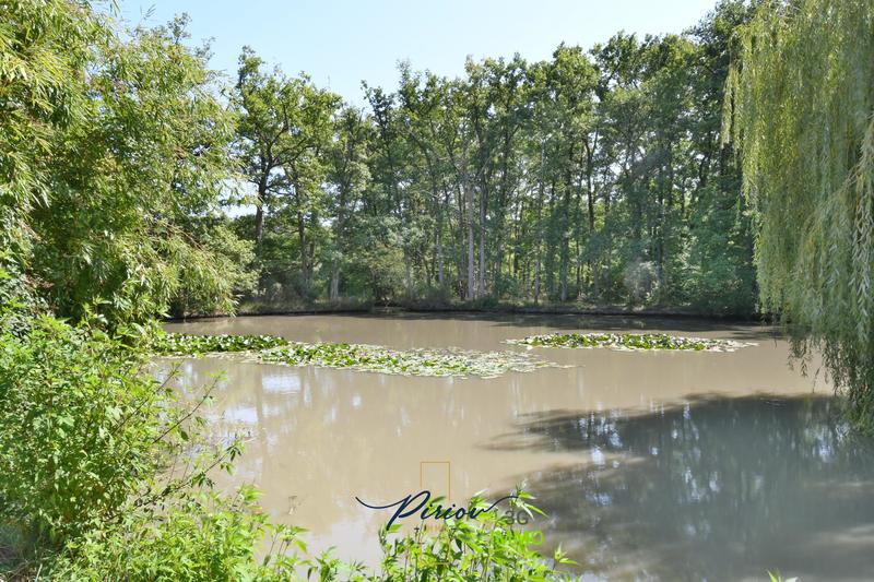 Local commercial - 563 m²