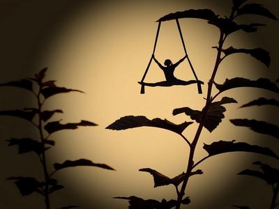 Théâtre d'ombres &quot;Le Rouge-gorge&quot;