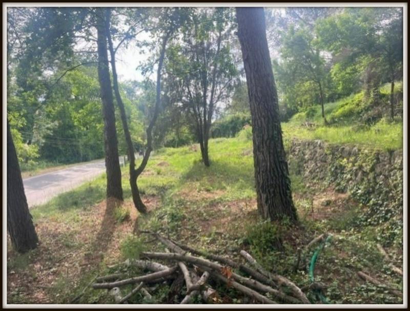 Terrain constructible - 1 557 m²