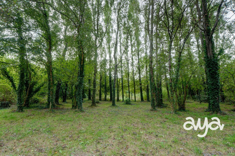 Maison ancienne - 273 m² - 12 pièces