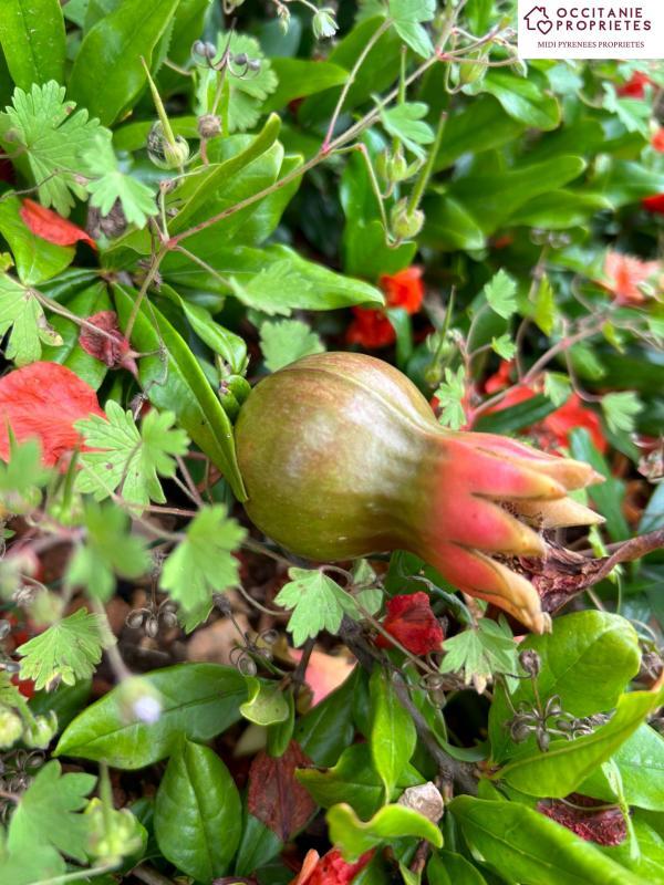 Demeure - 224 m² - 7 pièces