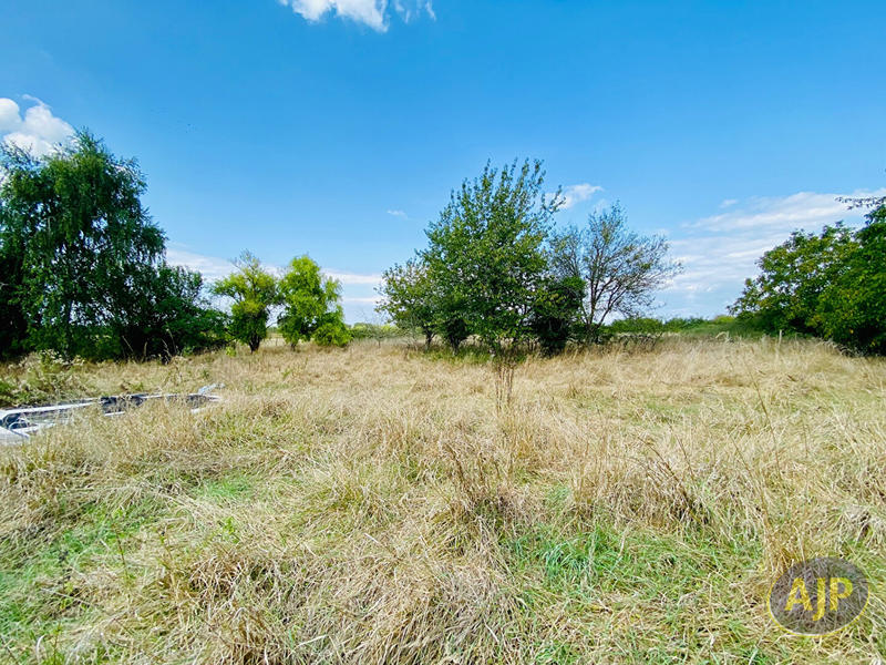 Maison - 217 m² - 7 pièces