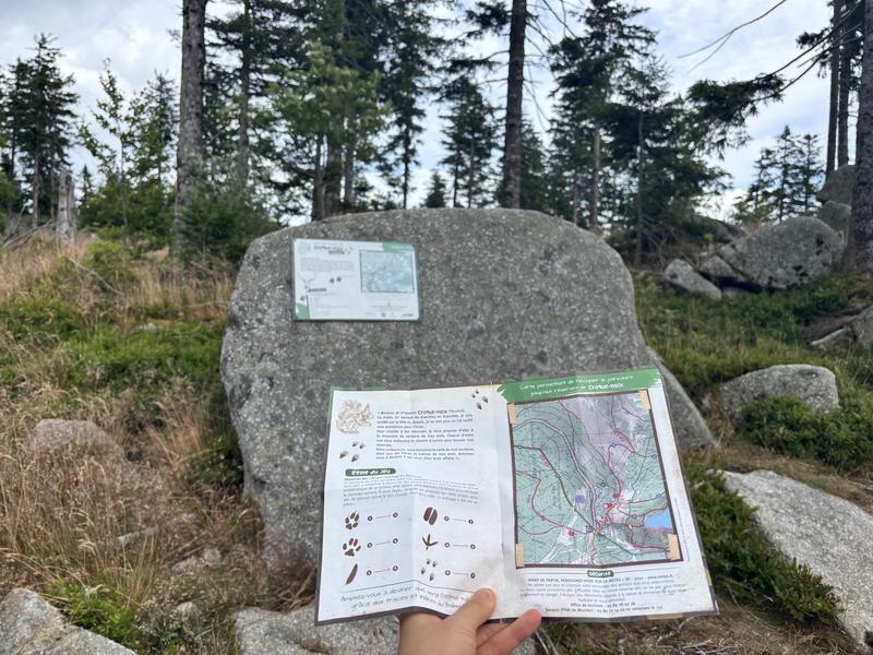 Jeu de piste - Sur les traces de Croque-Noix