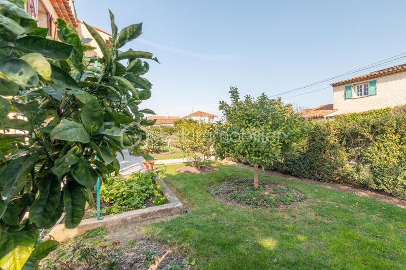 Maison traditionnelle - 260 m² - 5 pièces