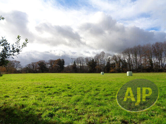 Maison - 300 m² - 9 pièces