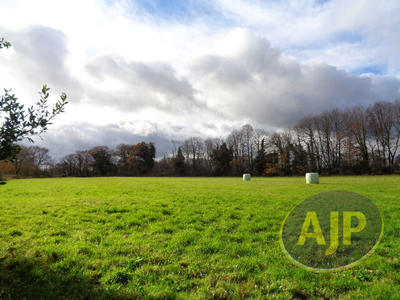 Maison - 300 m² - 9 pièces