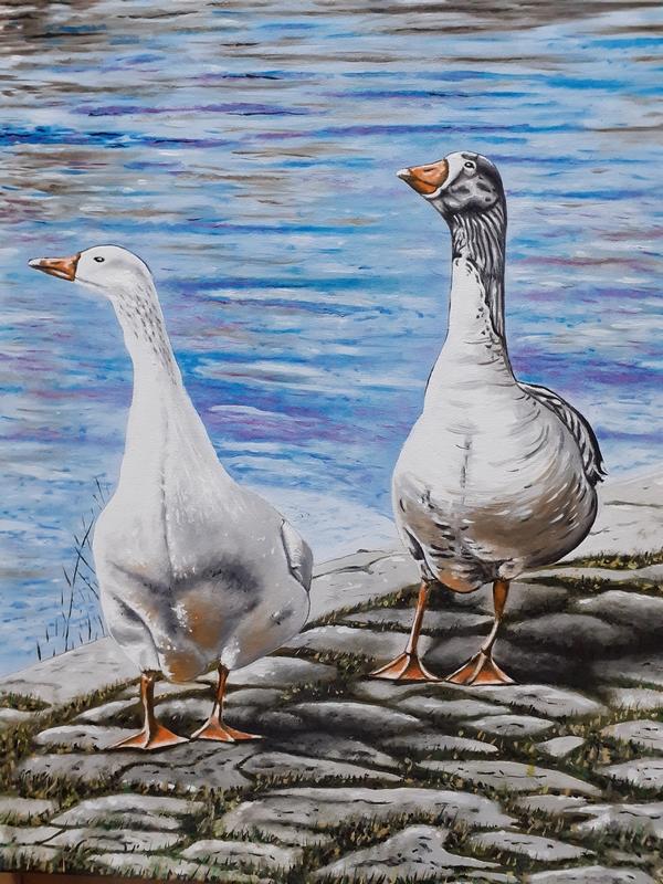 Exposition à la Maison de Loire :  au fil de l'eau