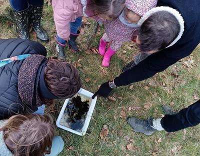 Rendez-vous créatif : " le printemps dans la mare ! "