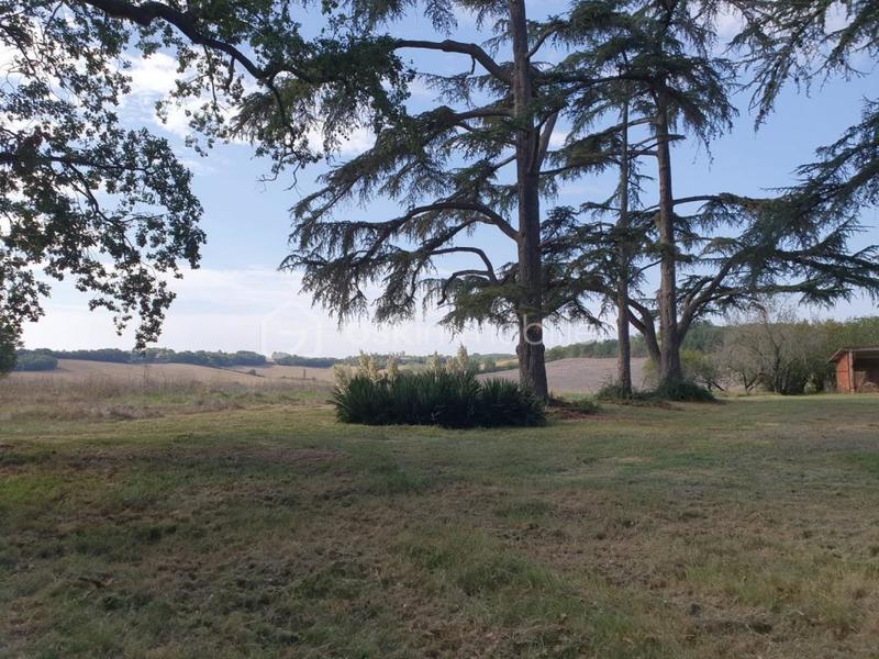 Propriété - 335 m² - 8 pièces