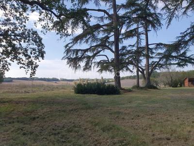 Propriété - 335 m² - 8 pièces