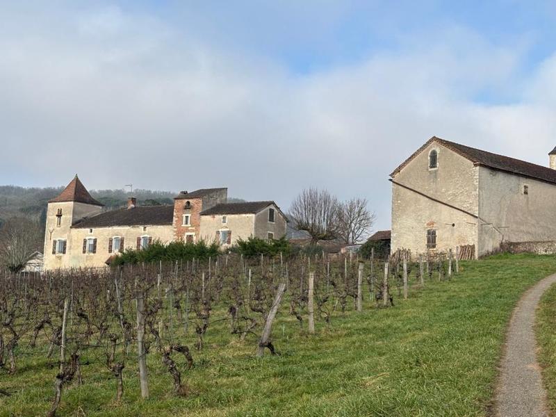 Château - 277 m² - 9 pièces