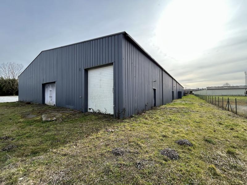 Local commercial - 1 000 m²