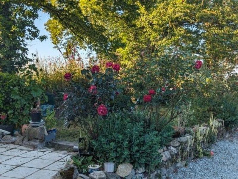 Maison - 134 m² - 5 pièces